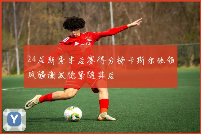 24届新秀季后赛得分榜卡斯尔独领风骚谢泼德紧随其后