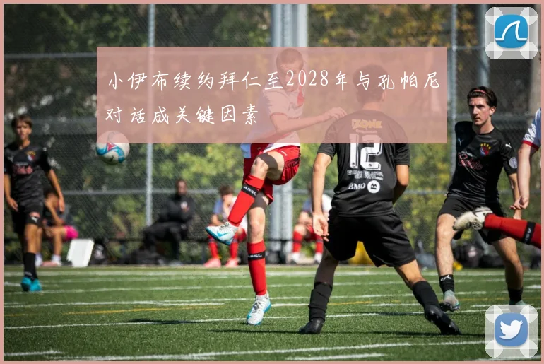 小伊布续约拜仁至2028年与孔帕尼对话成关键因素