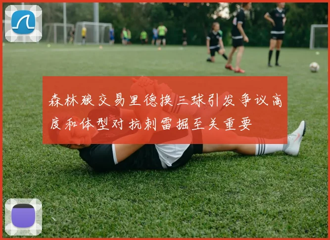 森林狼交易里德换三球引发争议高度和体型对抗刺雷掘至关重要